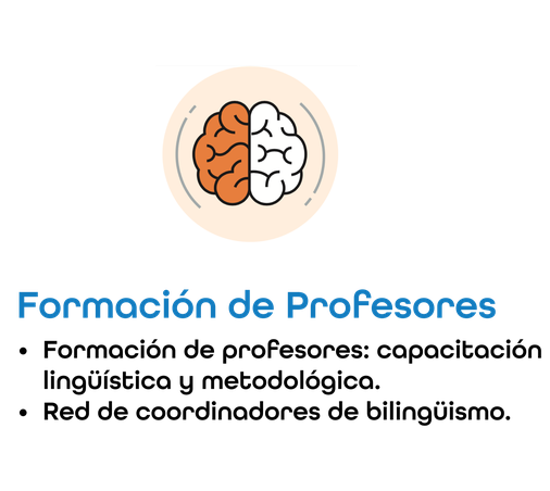 Formación de Profesores: capacitación lingüística y metodológica; red de coordinadores de bilingüismo